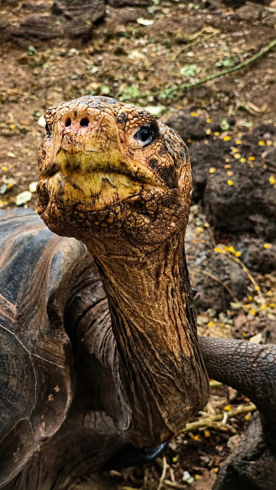 Viaggio Ecuador e Galapagos